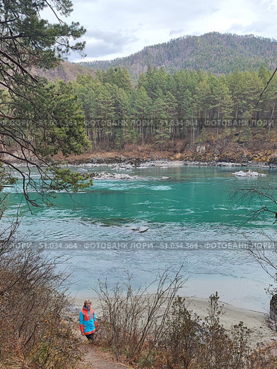 Бирюзовая Катунь, река поздней осенью, пейзаж, Республика Алтай. Turquoise Katun, river in late autumn, landscape, Altai Republic. Стоковое фото, фотограф Денис Баданин / Фотобанк Лори