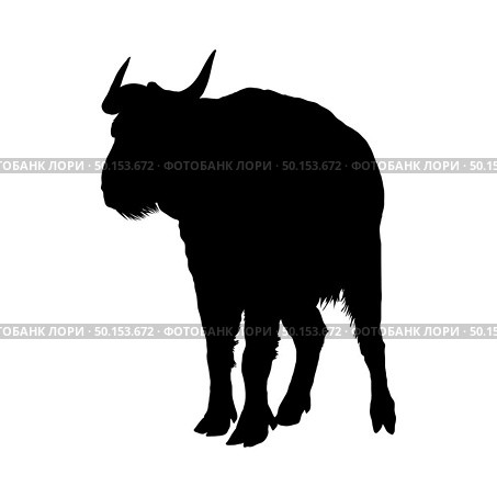 Bison Silhouette. Highly Detailed Smooth Design. Vector Illustration. Стоковая иллюстрация, агентство Ingram Publishing / Фотобанк Лори