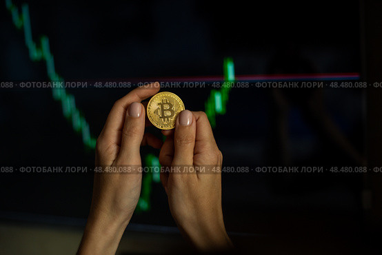 Bitcoin cryptocurrency coin in female hands against the graphs, rates on blurred background. Стоковое фото, фотограф София Тюленева / Фотобанк Лори