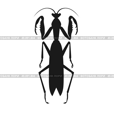 Black Grasshopper Icon. Nature black cartoon locust and cute flat grasshopper icon. Wild creature antenna invertebrate cute grasshopper agricultural zoo large green locust nature insect flat vector illustration. Стоковая иллюстрация, агентство Ingram Publishing / Фотобанк Лори