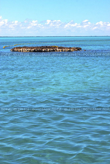 blue   isla contoy       in mexico froath and blue  foam  the sea drop sunny day  wave. Стоковое фото, агентство Ingram Publishing / Фотобанк Лори