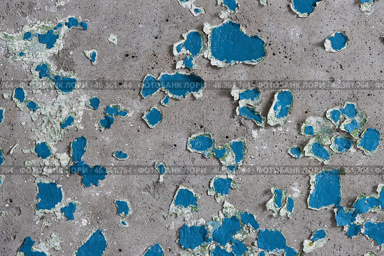Blue peeling paint on the wall. Old concrete wall with cracked flaking paint. Weathered rough painted surface with patterns of cracks and peeling. High resolution texture for background and design. Стоковое фото, фотограф Андрей Степанов / Фотобанк Лори