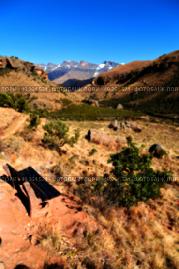 blur     in south africa valley of desolation dirty road rock tree and sky. Стоковое фото, агентство Ingram Publishing / Фотобанк Лори