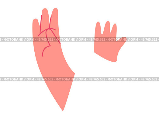 Body part hands vector illustration. Anatomical position is critical reference point in various medical procedures Educational gestures make complex anatomical concepts accessible to diverse learners. Body part. Educational gestures aid in conveying complex anatomical concepts effectively. Стоковая иллюстрация, агентство Ingram Publishing / Фотобанк Лори
