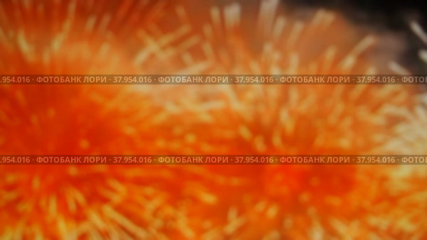 Боке из размытых красных огней. Абстрактный фон, циклическое видео, замедленная съемка. Стоковое видео, видеограф Евгений Горбунов / Фотобанк Лори