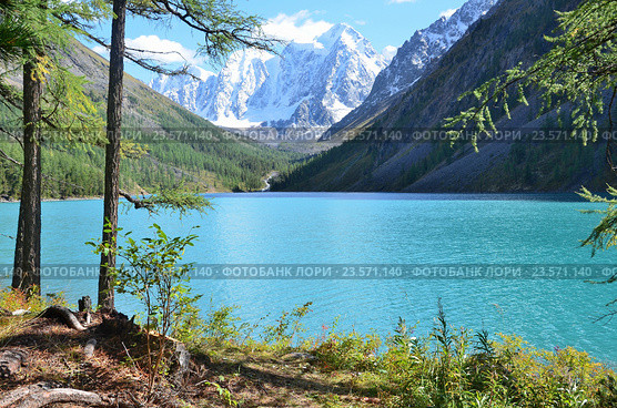 Большое Шавлинское озеро летом, Горный Алтай, Россия. Стоковое фото, фотограф Овчинникова Ирина / Фотобанк Лори