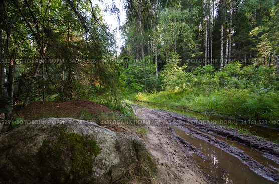 Большой валун у дороги. Оледенение. Стоковое фото, фотограф Яковлев Сергей / Фотобанк Лори