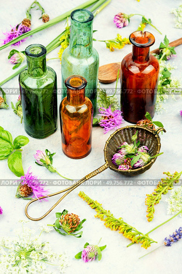 Bottles of tincture or potion and dried healthy herbs, medicinal herbs. Healing herbs, herbal medicine. Стоковое фото, агентство Ingram Publishing / Фотобанк Лори
