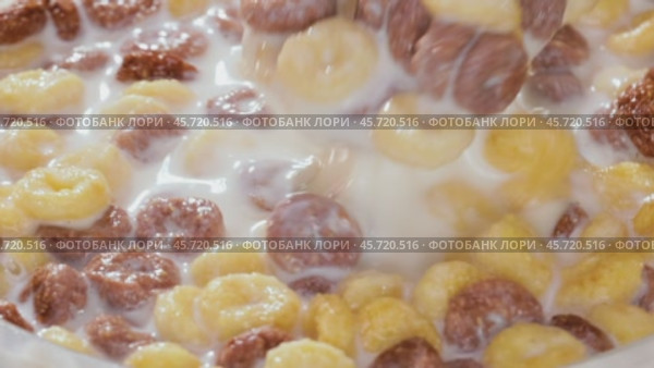 Breakfast Chocolate corn cereal in a bowl with milk. Стоковое видео, видеограф Андрей Армягов / Фотобанк Лори