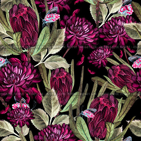 Bright watercolor seamless pattern with flowers chrysanthemum and Proteus. Illustration. Bright watercolor seamless pattern with flowers chrysanthemum and Proteus. . Стоковое фото, агентство Ingram Publishing / Фотобанк Лори