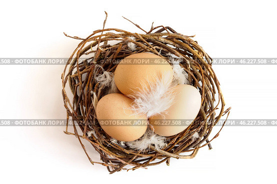 Brown chicken eggs and feathers in nest on white background. Easter concept, top view. Стоковое фото, фотограф Зарифа Арсланова / Фотобанк Лори
