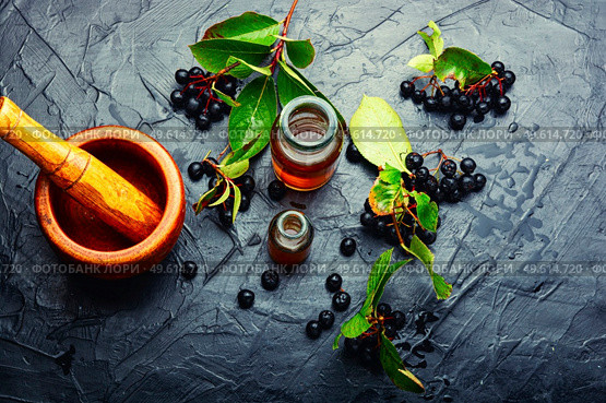 Bunches of fresh chokeberry. Herbal medicine and homeopathy. Chokeberry in herbal medicine,aronia fruit. Стоковое фото, агентство Ingram Publishing / Фотобанк Лори
