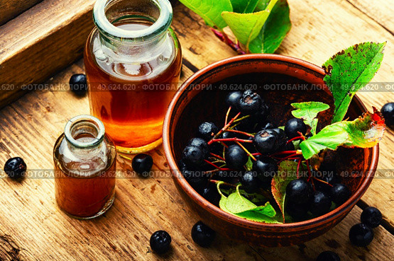 Bunches of fresh chokeberry. Herbal medicine and homeopathy. Chokeberry berries in herbal medicine. Стоковое фото, агентство Ingram Publishing / Фотобанк Лори