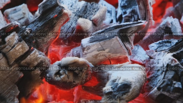 Burning fire closeup in the fireplace. Стоковое видео, видеограф Михаил Коханчиков / Фотобанк Лори