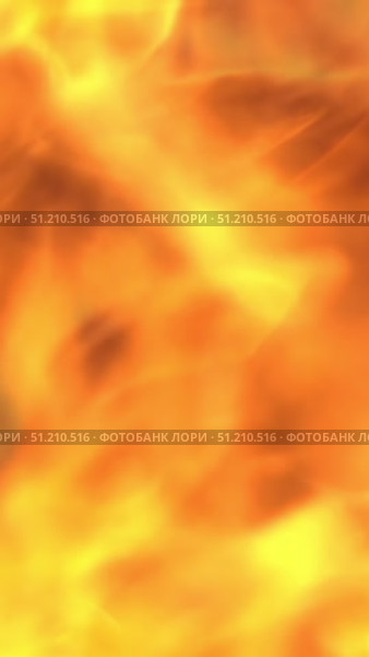 burning fire, firewood coal closeup. Стоковое видео, видеограф Михаил Коханчиков / Фотобанк Лори