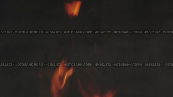 Burning fire flame on dark background. Стоковое видео, видеограф Михаил Коханчиков / Фотобанк Лори
