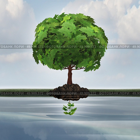 Business contraction concept or economic decline symbol as a mature tree casting a reflection in the water of a small young sapling with 3D illustration elements as a metaphor for downgrade or devaluation. Стоковое фото, агентство Ingram Publishing / Фотобанк Лори