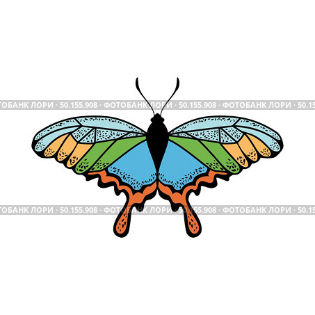 Butterfly Icon. Colored Design. EPS 10 vector illustration. Стоковая иллюстрация, агентство Ingram Publishing / Фотобанк Лори