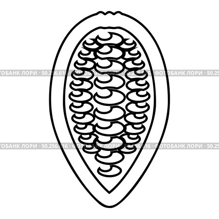 Cacao bob beans Cocoa fruit Chocolate seeds icon outline black color vector illustration flat style simple image. Cacao bob beans Cocoa fruit Chocolate seeds icon outline black color vector illustration flat style image. Стоковая иллюстрация, агентство Ingram Publishing / Фотобанк Лори