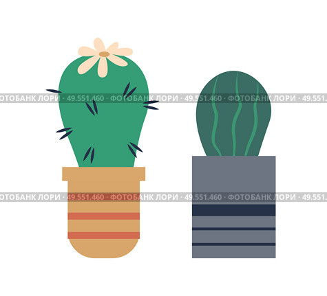 Cactus in pot vector, isolated icon of plant with thorns and flower on top. Nature decoration for home, botanical elements, pottery and house decor. Cactus Plant Growing in Pot, Cacti Flowering Set. Стоковая иллюстрация, агентство Ingram Publishing / Фотобанк Лори
