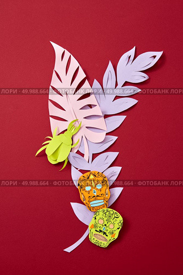 Calaveras attribute of the Mexican holiday of Calaca and handcraft paper colored leaves on a red background with copy space for text. Creative Halloween postcard.. A colorful paper composition of various colored leaves and Calaveras attribute of the Mexican holiday of Calaca on a red background with space for text. Halloween handcraft postcard. Flat lay. Стоковое фото, агентство Ingram Publishing / Фотобанк Лори