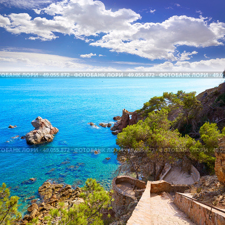 Cami de Ronda track at Lloret de Mar of Costa Brava Catalonia Punta des Calafats. Стоковое фото, агентство Ingram Publishing / Фотобанк Лори
