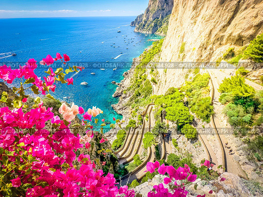 Capri island, Italy. Стоковое фото, фотограф Anastasy Yarmolovich / Фотобанк Лори
