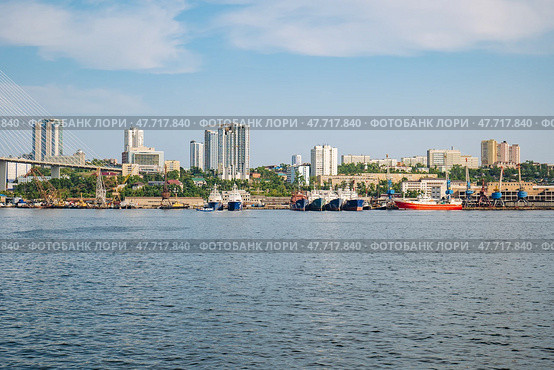 Cargo vessels docked near zolotoy rog bridge, overlooking vladivostok's urban landscape and maritime infrastructure. Стоковое фото, фотограф Mikhail Davidovich / Фотобанк Лори