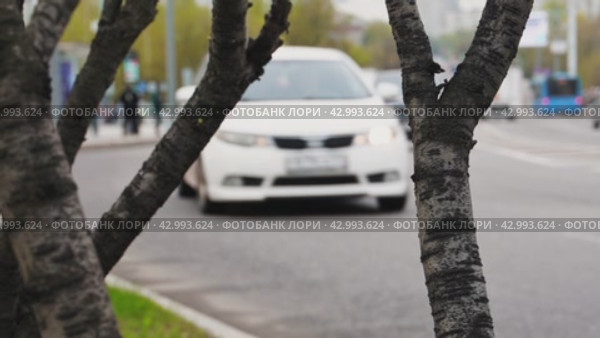 Cars from the traffic light pass by the camera and bushes. The focus is on the trunks. Стоковое видео, видеограф Ярославский Максим / Фотобанк Лори