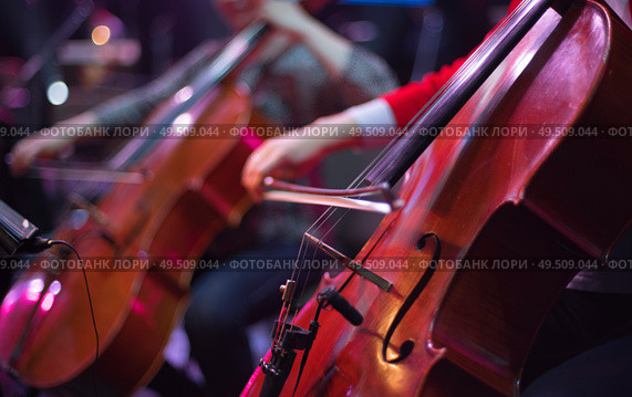 cello at a concert. Стоковое фото, агентство Ingram Publishing / Фотобанк Лори