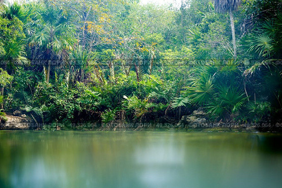 Cenote in Riviera Maya of Mayan Mexico sinkhole exposing groundwater. Стоковое фото, агентство Ingram Publishing / Фотобанк Лори