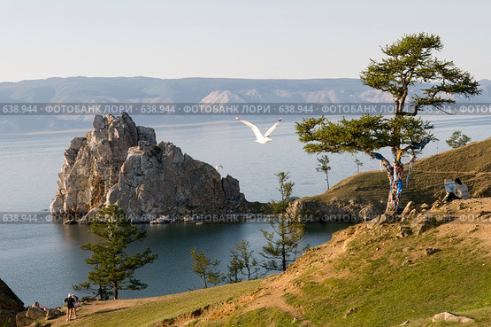 Чайка над мысом Бурхан. Стоковое фото, фотограф Игнатьев Михаил / Фотобанк Лори