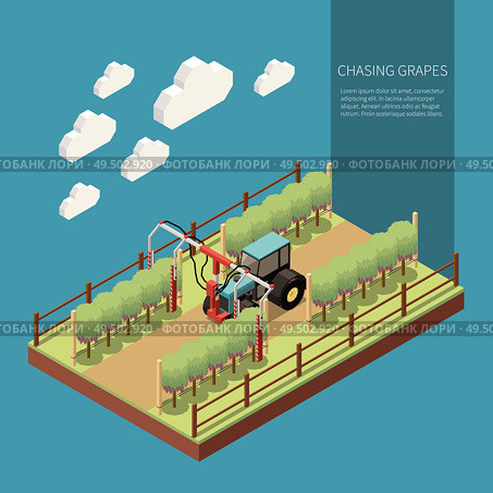 Chasing grapes in vine yard isometric composition with embossing machine in work process vector illustration. Стоковая иллюстрация, агентство Ingram Publishing / Фотобанк Лори