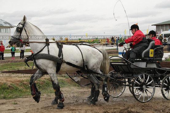 Чемпионат России по драйвингу 2010 в КСК "Свечинский". Экипаж С. Спектра (Россия) преодолевает водное препятствие. Редакционное фото, фотограф Устинова Мария / Фотобанк Лори
