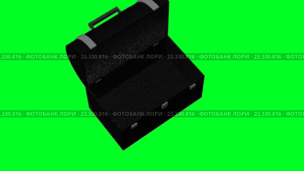 Черная шкатулка открывается на зеленом фоне. Стоковое видео, видеограф Роман Будников / Фотобанк Лори