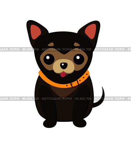 Chihuahua dog picture, poster with tiny animal with short tail, pet popular among glamorous women vector illustration isolated. Chihuahua Dog Picture Poster Vector Illustration. Стоковая иллюстрация, агентство Ingram Publishing / Фотобанк Лори