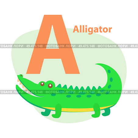 Children ABC with cute animal cartoon vector. English letter A with funny alligator flat illustration isolated on white background. Zoo alphabet with reptile for preschool education, kids book. Zoo ABC Letter with Cute Alligator Cartoon Vector. Стоковая иллюстрация, агентство Ingram Publishing / Фотобанк Лори