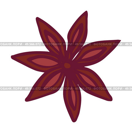 Cinnamon or aroma flower, anise star coffee shop, java aromatic ingredient. Flavor enhancer, brown petals, tasty blossom, canella in flat design style vector. Coffee Shop, Aromatic Ingredient, Canella Vector. Стоковая иллюстрация, агентство Ingram Publishing / Фотобанк Лори