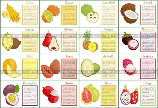 Citron and bael posters set text sample and tropical fruits vector. Melon and papaya, mangosteen and mamey, ambarella and pineapple cupuacu coconut. Citron and Bael Papaya Melon Posters Set Vector. Стоковая иллюстрация, агентство Ingram Publishing / Фотобанк Лори