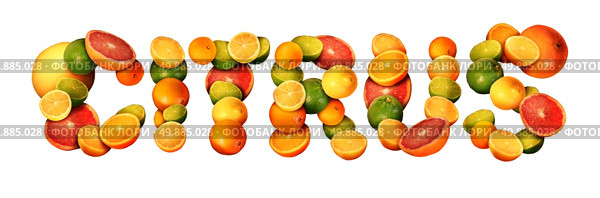 Citrus text concept as a group of fruit with oranges lemons lime tangerines and grapefruit as a symbol of healthy eating and immune system boost with natural vitamins isolated on a white background. Стоковое фото, агентство Ingram Publishing / Фотобанк Лори