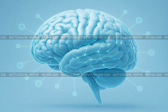 Clean 3D medical illustration of human brain showing neural connections and degeneration mapping, in a sterile futuristic style. 3D Brain Visualization with Neural Network Map. Стоковое AI-изображение, AI-художник Башкирова Анна / Фотобанк Лори