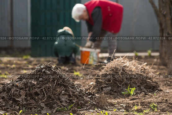 Clean-up day in early spring. Piles of old leaves in the foreground are in focus. A woman and a child are doing general cleaning in the garden in the background. People clean the lawn of dry leaves in the spring season. Gardening. Garden cleaning. Стоковое фото, фотограф Photojuli / Фотобанк Лори