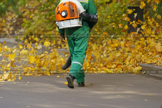 Cleaning falling leaves on a city street in the autumn dry time. Using leaf blower for cleaning of the road in the park. Seasonal occupation concept. Стоковое фото, фотограф YuryKara / Фотобанк Лори