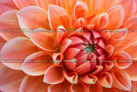 Close up of dahlia flower showing intricate petals and vivid colors. Стоковое AI-изображение, AI-художник Иван Рябоконь / Фотобанк Лори