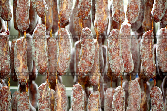 Close up of many freshly packed sausages left hanging to be cured in meat processing plant. Freshly packed sausages curing in factory. Стоковое фото, агентство Ingram Publishing / Фотобанк Лори