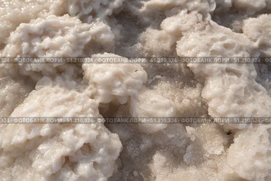 Close-up of naturally crystallized salt on the. Стоковое фото, фотограф Екатерина Золина / Фотобанк Лори