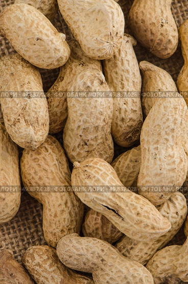 Close-up of some peanuts. background. Стоковое фото, агентство Ingram Publishing / Фотобанк Лори