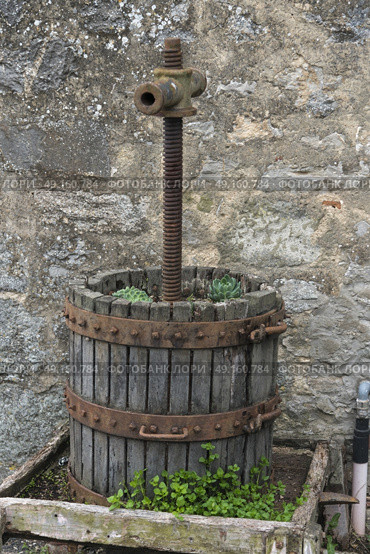Close-up rusted steel pipe in a wooden planter, Badiaccia a Montemuro, Radda in Chianti, Tuscany, Italy. Стоковое фото, агентство Ingram Publishing / Фотобанк Лори
