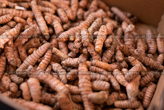 Closeup of dried turmeric rhizomes as natural food background. Стоковое фото, фотограф Яков Филимонов / Фотобанк Лори
