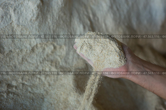 Closeup of handful of soy flour in male hands. Стоковое фото, фотограф Яков Филимонов / Фотобанк Лори